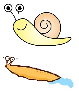 katatsumuri