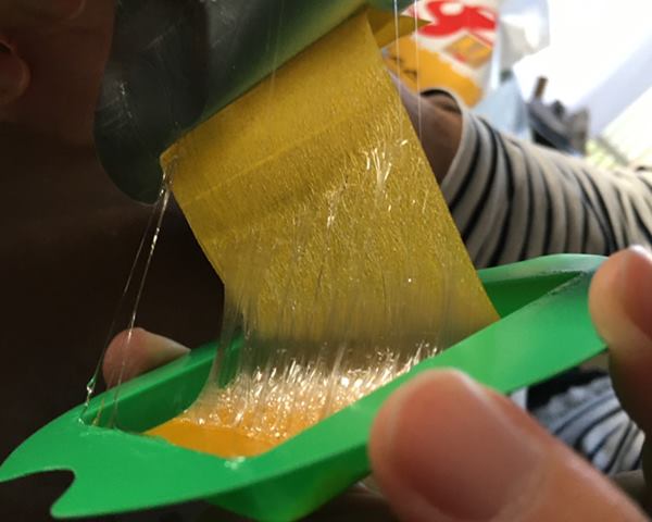 ハエ取り「吊るすだけ」の粘着力